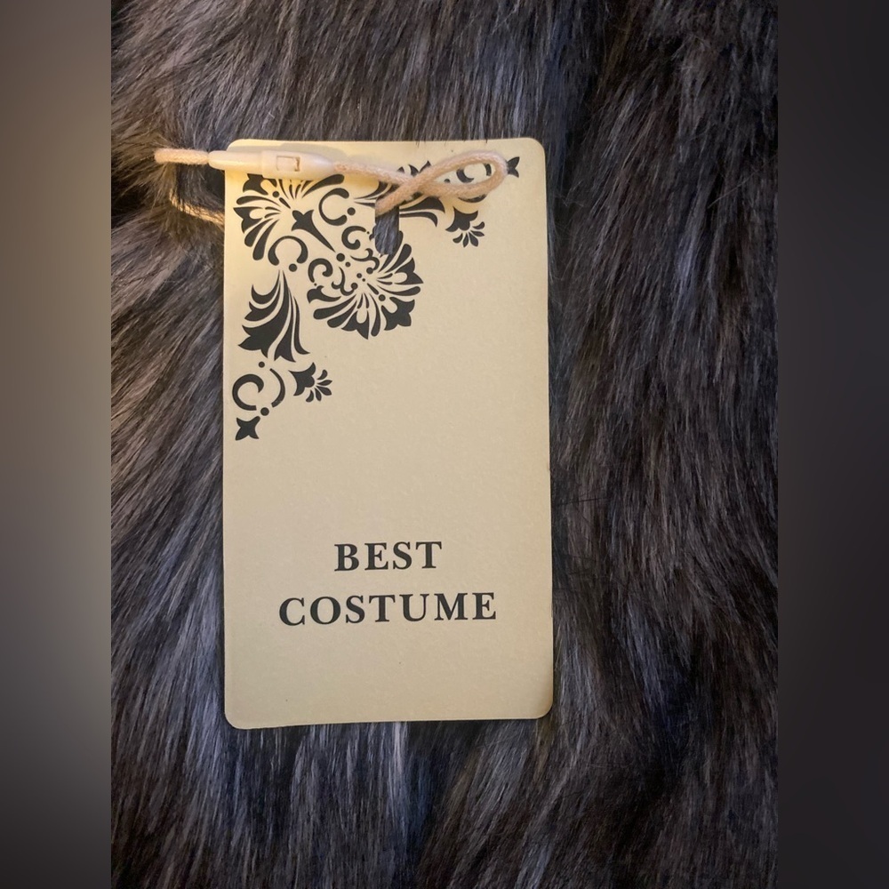 Best Costume Vest - Picture 5 of 6